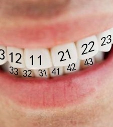 Как считать зубы?